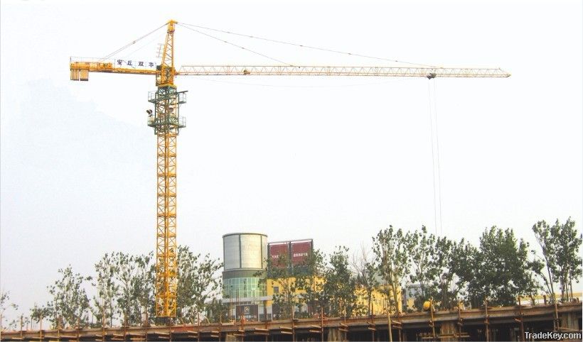 Shuangfeng Tower Crane QTZ 315 (4207)