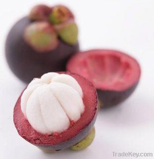 top quality Mangosteen extract / alpha-mangostin