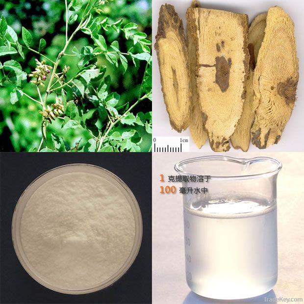 natural herbal plant extract licorice root extract