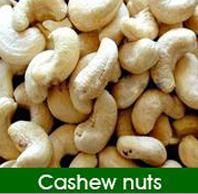 Indian Cashew Nut WW320 | Dried Fruits | W240 Cashew Nuts Suppliers | W320 Cashew Nut Exporters |Buy  WW230 Cashew Nut | Cheap W450 Cashew Nut | Wholesale WW240 Cashew Nut
