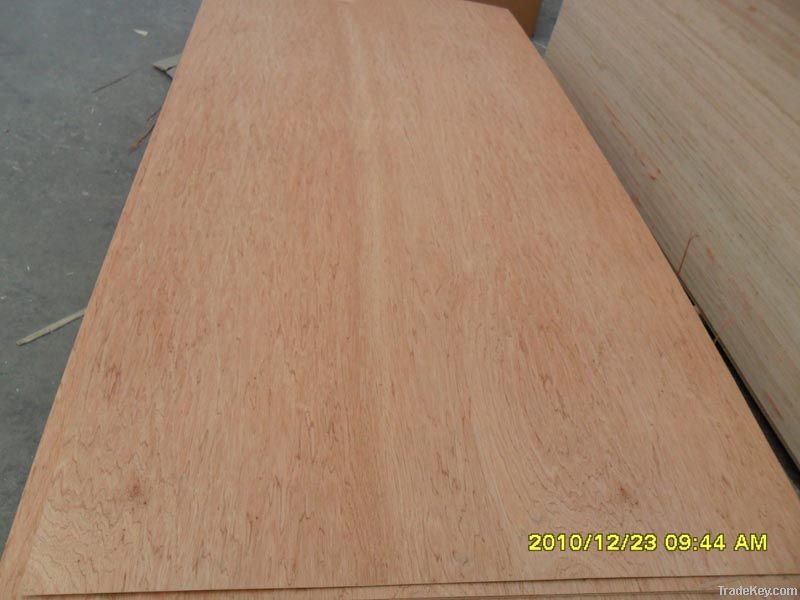 bintangor plywood bintangor veneer 1220*2440mm
