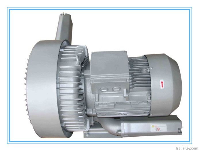 Air ring vacuum pump