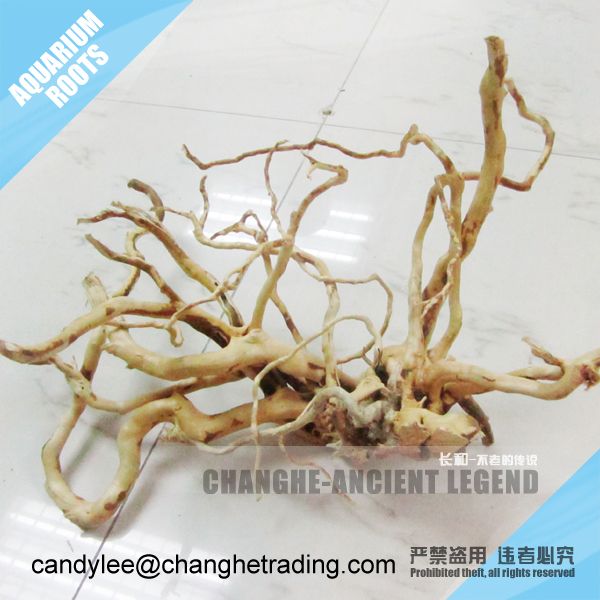 Natural wholesale Aquarium driftwoods and roots