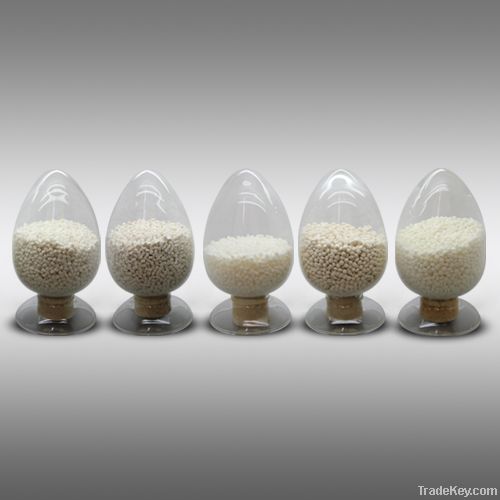 Biodegradable Food packaging