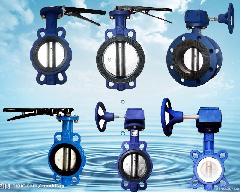 Soft sealing flange Butterfly Valve
