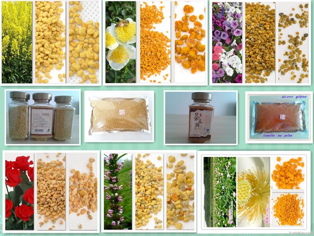 2012 the high quility and 100% pure bee pollen