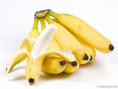 Banano OrgÃƒÂ¡nico