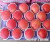 new season fresh fruits fuji apples from China