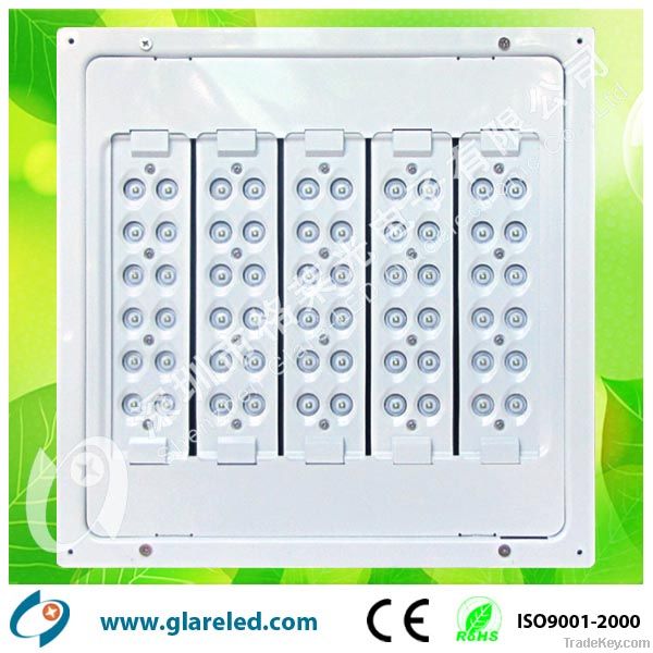 led canopy light IP65