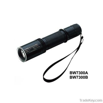 Explosion proof flashlight