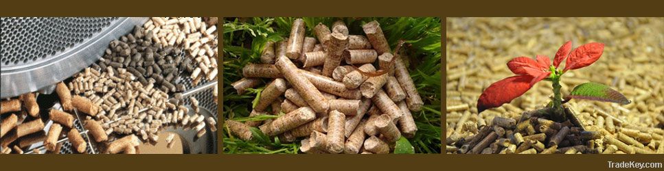 Russian Wood Pellet | Biodiesel Provider | Wood Pellet Trader