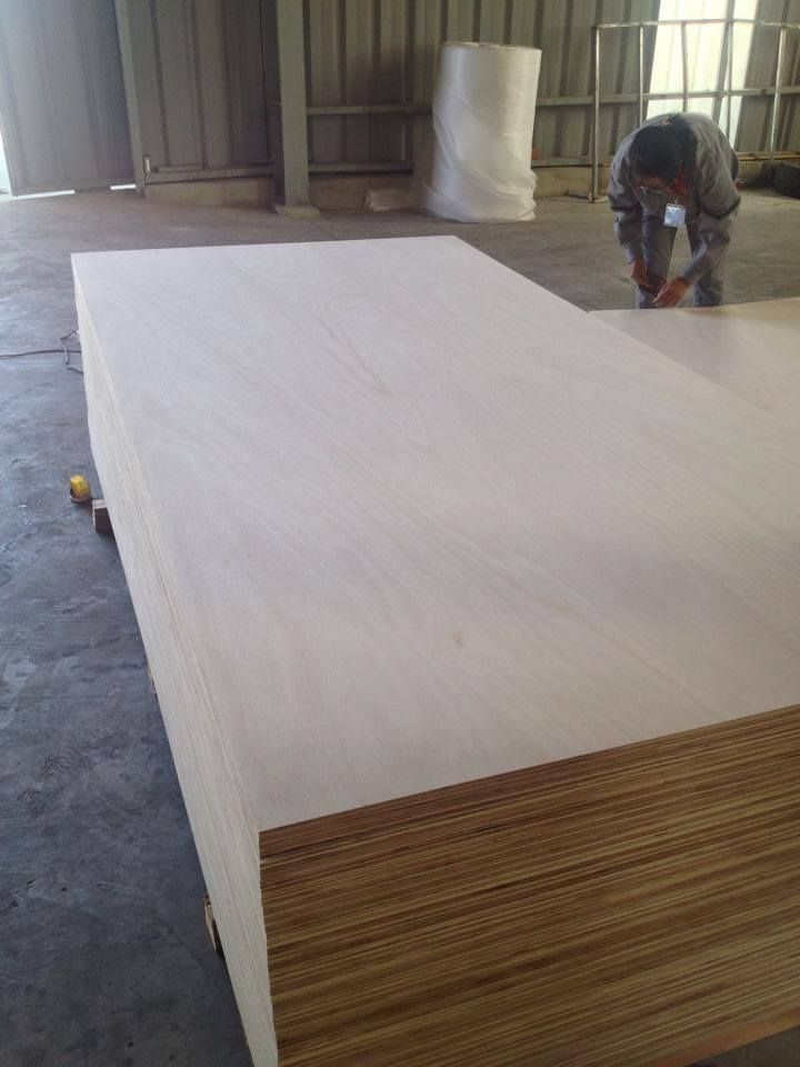 Canarium Plywood (CARB P2)