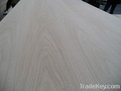 Natural White Oak Fancy Plywood