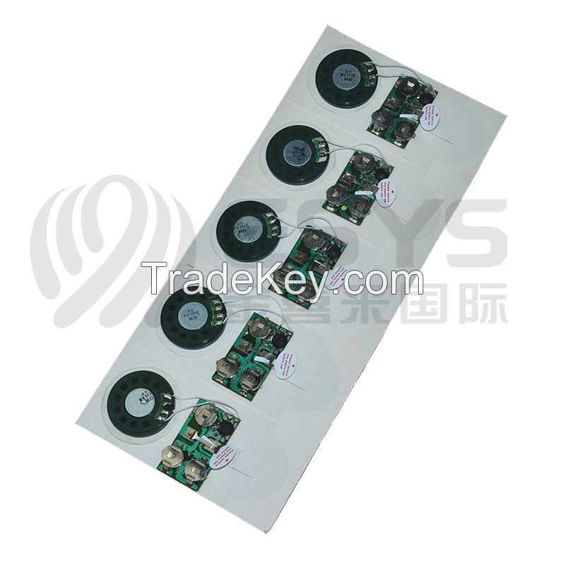 Custom sound recording module for greeting cards