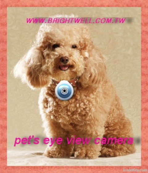 Brightwell Pet's camera