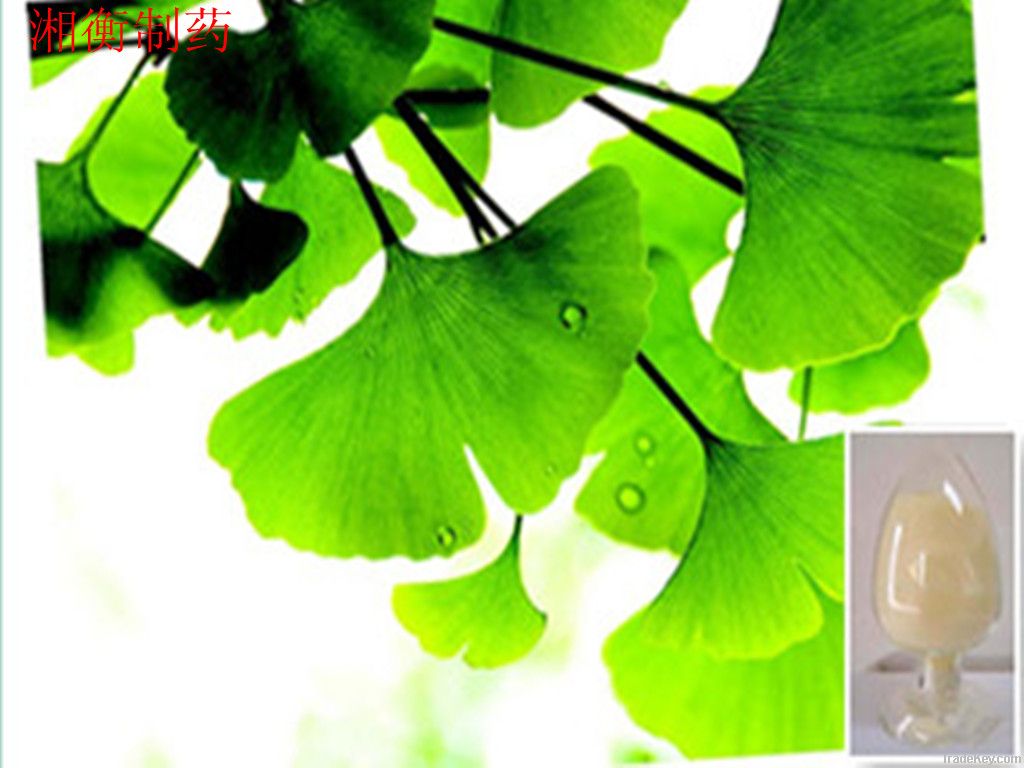 Ginkgo Leaf  Extract