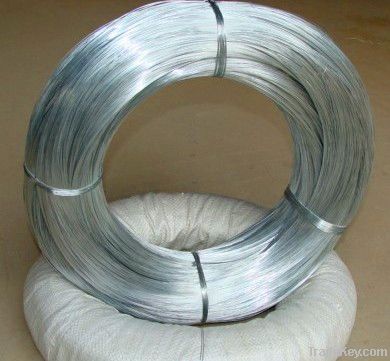 Galvanized iron wire /electro wire