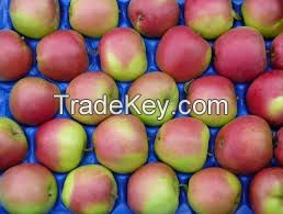 Polish Apples