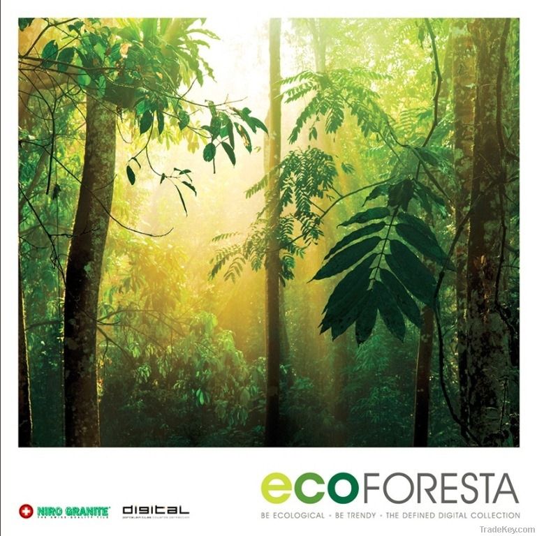 Eco Foresta