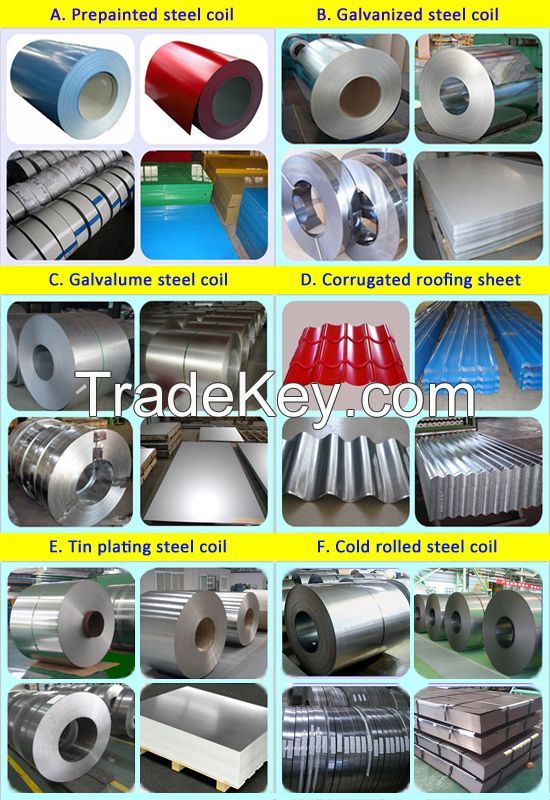 Prepainted Galvanized Steel Coil