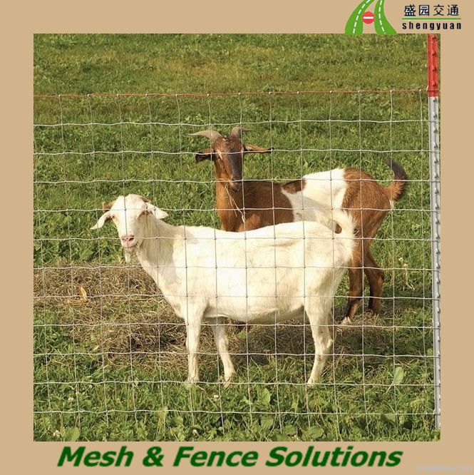 Farm field fencing/cattle fence