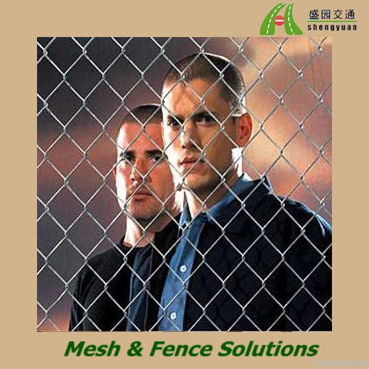 Pvc Coated/Galvanized Chain Link Fence