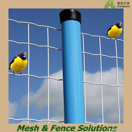 cheap galvanized euro fence (hot)