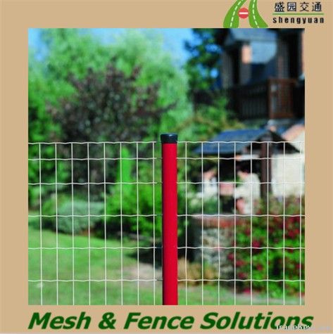 Plastic Coated Euro Fence For Garden