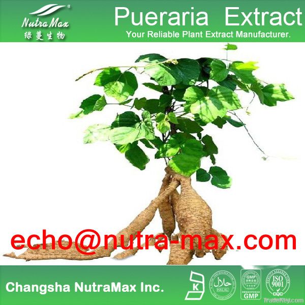 Pueraria (Kudzu Root) Extract