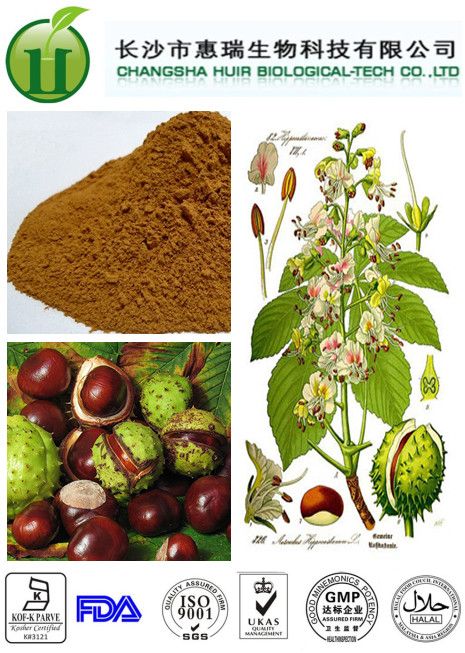 Horse Chestnut Seed Extract(HCSE) Aescin (Escin) CAS No. 6805-41-0 protecting liver