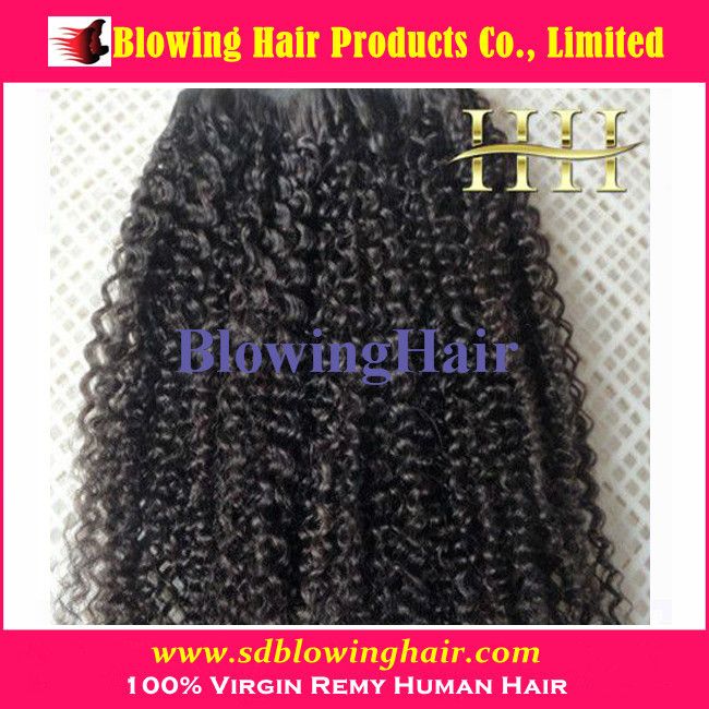Indian Remy Hairs (Wholesale Price)