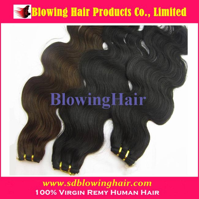 Human Hair Extensions (Factory Wholesale)