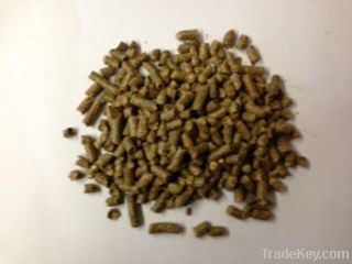 Alfalfa Pellets (luzerne)