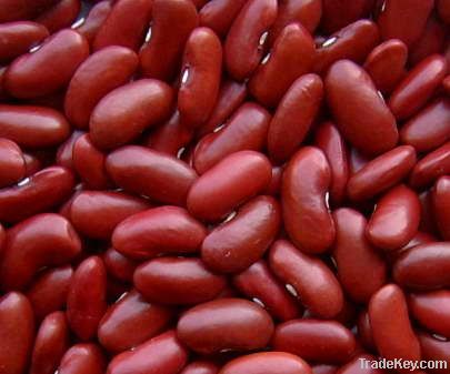 Kidney Beans (White | Red | Light Speckled | Black | Purple Speckled)