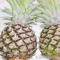 fresh pineapples