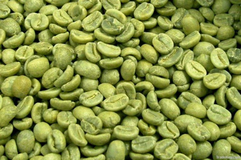 ARABICA COFFEE BEANS (GREEN)