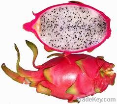 FRESH DRAGON FRUIT