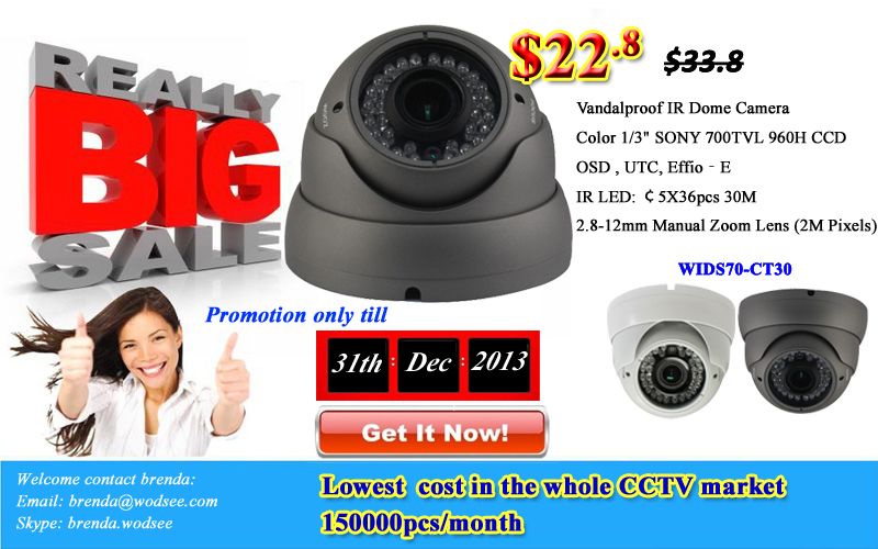 CCTV vandalproof Dome Camera