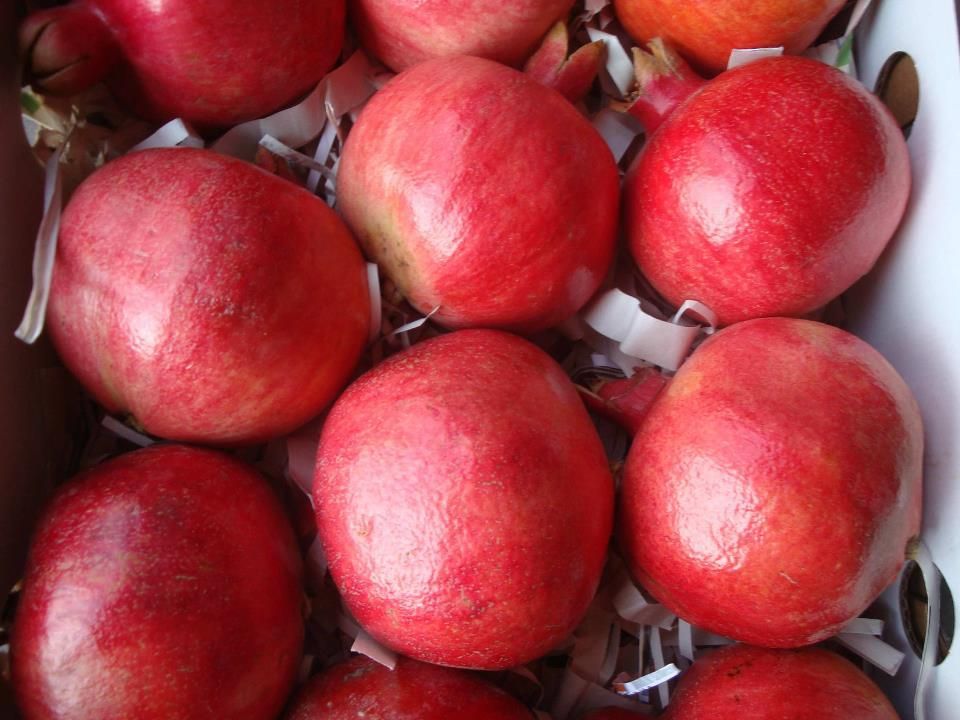 Red Sweet Pomegranates