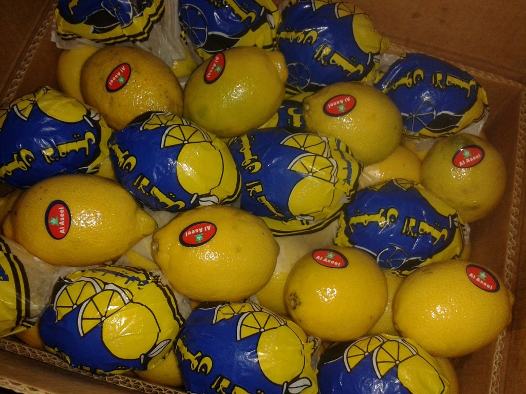 Fresh ( Adalia - Verna - Green lime) Lemon