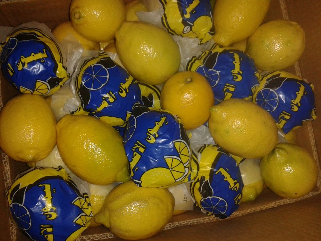 Fresh ( Adalia - Verna - Green lime) Lemon