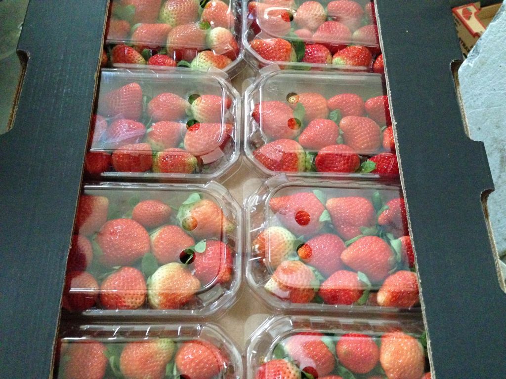 Fresh Strawberry