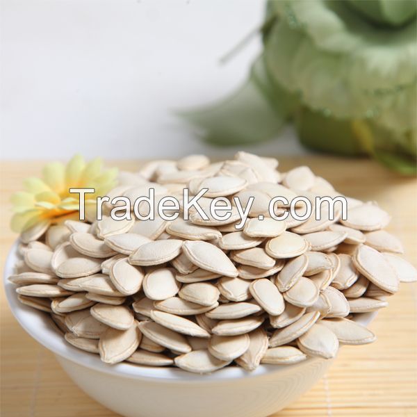 inner mongolia pumpkin seeds market price