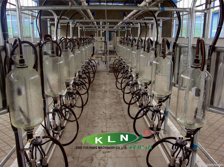 fish-bone milking machine parlor