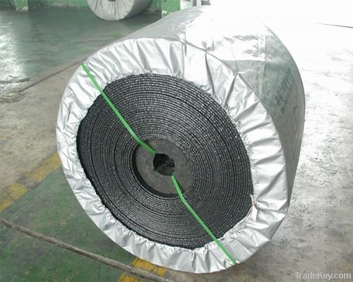 Nylon Conveyor belt