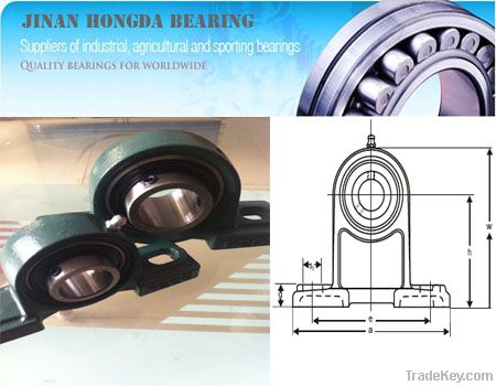 Inch Pillow Block Bearing Sbpe205-15