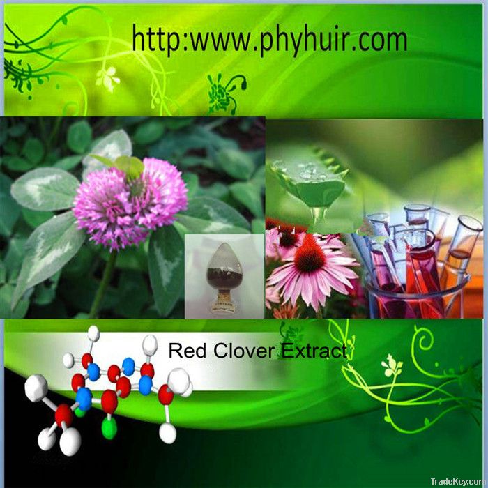 Red Clover Extract