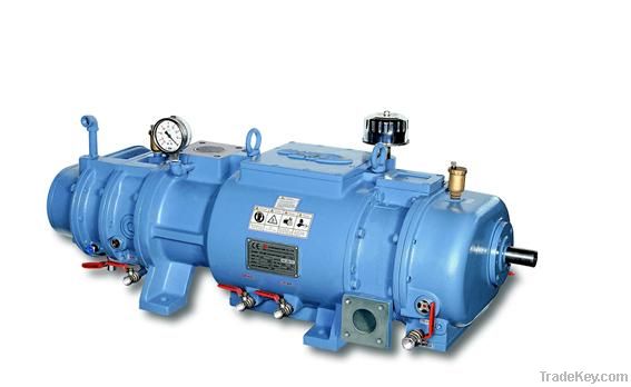 DBP Dry Screw Vacuum Pump