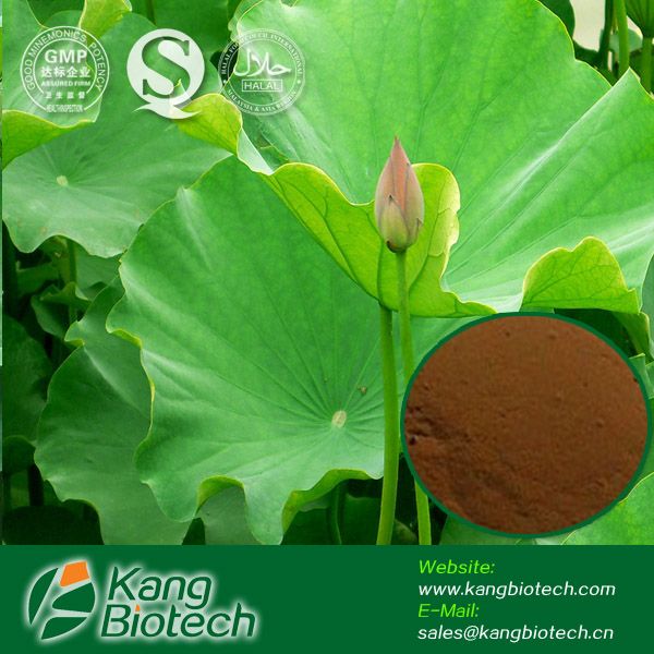Weight Loss Ingredients Lotus Leaf Extract Nuciferin