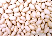 BLANCHED PEANUT KERNELS